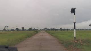 Rice paddy Rice field Countryside of Thailand Local of Thailand Sisaket Thailand Driving into green