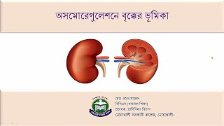 Role of Kidney in Osmoregulation / অসমোরেগুলেশনে বৃক্কের ভূমিকা। (বর্জ্য ও নিষ্কাশন)