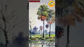 திருநெல்வேலி ஜில்லா! | கல்கி | சிறுகதை | புத்தகப்பூச்சி | audiobook