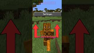 INSANELY useful settings in minecraft!