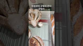 프랑스인이 인정한 한국의 몇 안되는 빵집