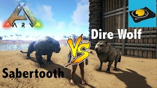 ARK INSIGHT!!! -- Sabertooth V.S Dire Wolf!!