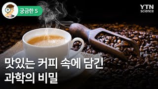 [궁금한S] 맛있는 커피 속에 담긴 과학의 비밀  / YTN 사이언스