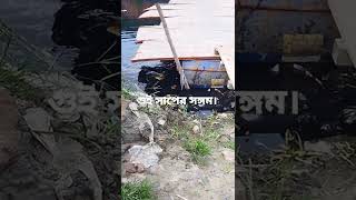 গুই সাপের সঙ্গম | Rare Monitor Lizard | সাপের মিলনের বিরল দৃশ্য | Snake Video 2022 |