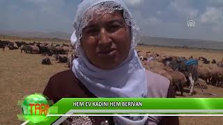 Hem ev kadını hem berivan