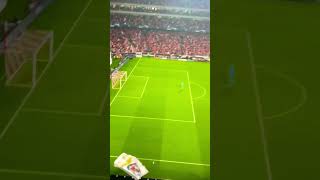 Benfica 4-3 Juventus: golo de João Mário visto das bancadas do Estádio da Luz