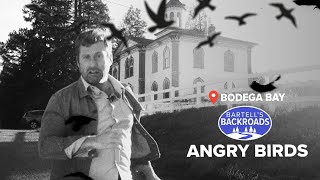 'The Birds' aren't the only ones flocking to Bodega and Bodega Bay | Bartell's Backroads