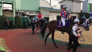 2019.2.13 浦和🐎11R 第11回 ユングフラウ賞（SII）周回 その1