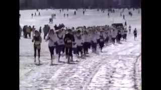 1991 IHSA Boys \u0026 Girls Cross Country State Finals