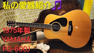 私の愛器紹介🎵YAMAHA　FG-600J 1975年製