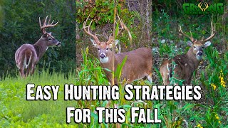 Dr. Grant Woods’ Easy Strategies for This Fall | Seminar