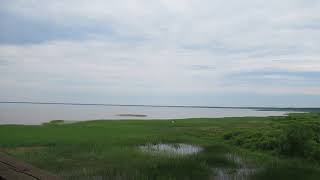 18.06.2018 Võrtsjärv. Watch Tower in Jõesuu.