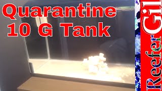 How To: Quarantine Tank Setup