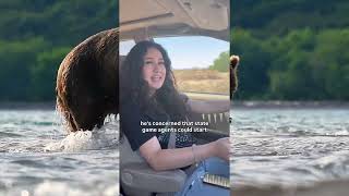 Urgent Development: Alaska Bears