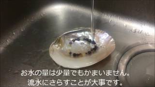 パワーストーンを水道水で正しく浄化する方法