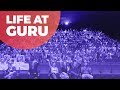 Life At Guru Video | Great Stories Happen Here!