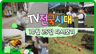 [TV전국시대] 10월25일(수) 전체방송 다시보기