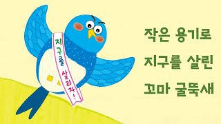 [#공감동화] 작은 용기로 지구를 살린 꼬마 굴뚝새