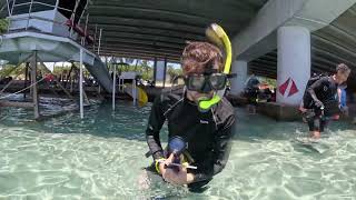 Snorkel Extravaganza at Blue Heron Bridge! (July 2024)