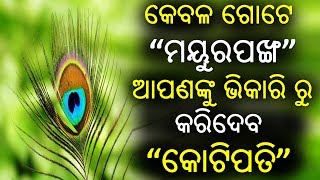 ଗୋଟେ ମୟୁରପଂଖ ଆପଣଙ୍କୁ ଭିକାରି ରୁ କୋଟିପତି ବନେଇଦେବ