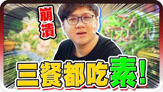 大崩潰！連續24小時三餐都吃素真的撐的住嗎？！【黑羽】