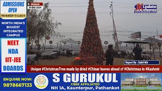 Unique #ChristmasTree made by dried #Chinar leaves ahead of #Christmas in #Kashmir