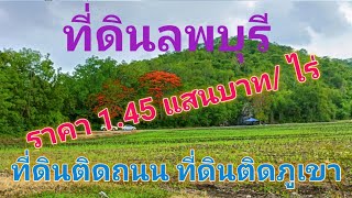 EP313.ที่ดินติดถนน ที่ดินติดเขา ที่ไร่ ที่ดินลพบุรี น้ำไฟครบ สนใจติดต่อ0870987939,0887902134