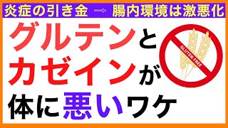 グルテンとカゼインが体に悪い訳【栄養チャンネル・分子栄養学入門】グルテンとカゼイン