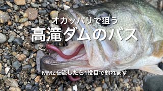 オカッパリで狙う高滝ダムのブラックバス　MMZで一撃(^^)