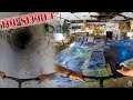 SECRET 100 YEAR OLD SKATEPARK ON SCOOTER! SECRET 100 YEAR OLD SKATEPARK ON SCOOTER!