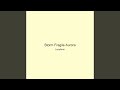 Storm Fragile Aurora