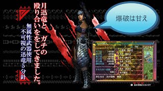 【MH3G HD】不可視の迅竜 無属性片手剣 オトモ無しソロ ５分針討伐