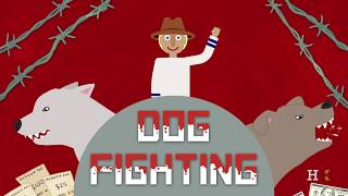 Moral dilemma: Subsidize opera or dogfighting?