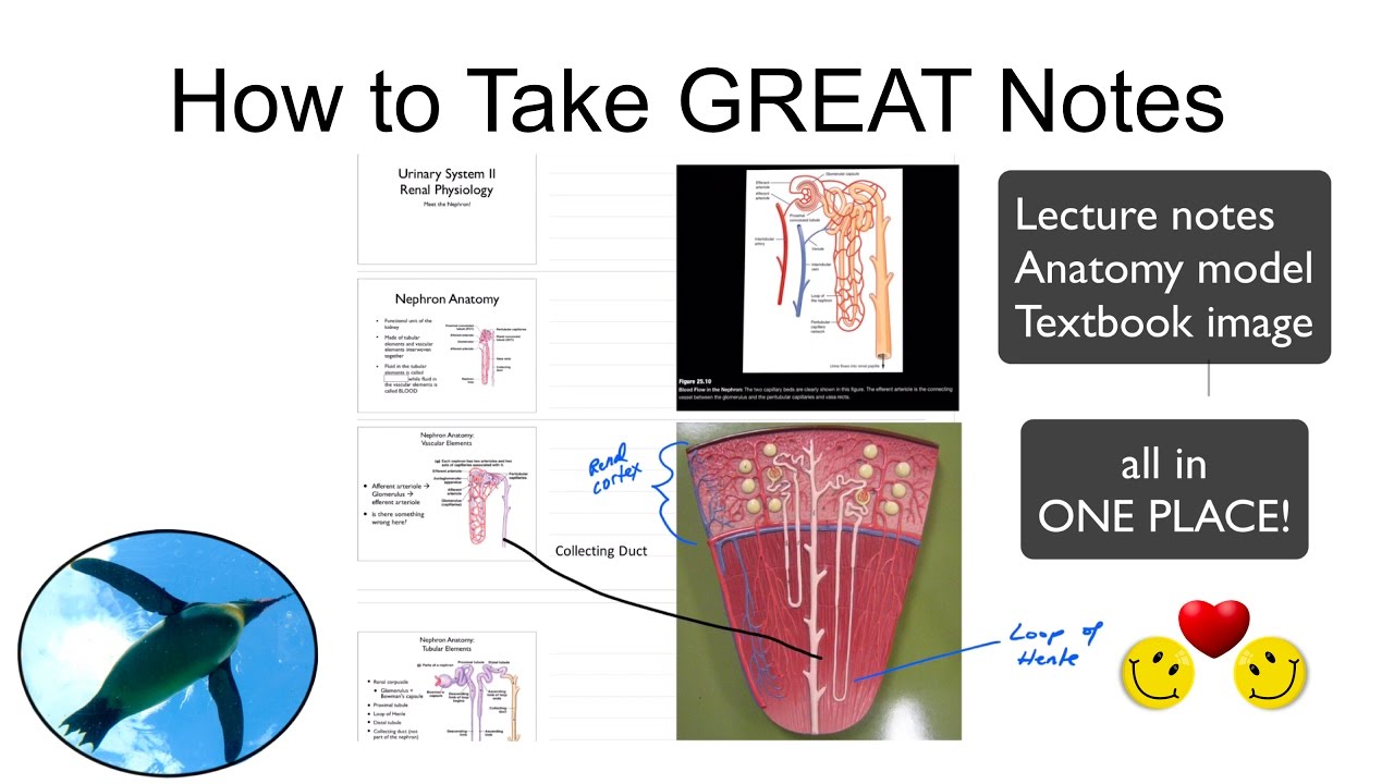 How To Take GREAT Notes - YouTube