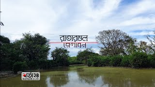 'রাতারগুল' জলের ওপর বুনো সবুজের চাঁদোয়া | Barta24.com