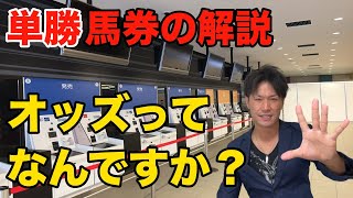 【競馬入門②-1】単勝の買い方、オッズ仕組みを解説