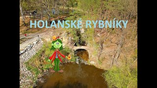 DJI SPARK - Holanské rybníky s bratry a potomky