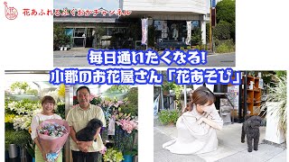 看板犬のいる小郡のお花屋さん「花あそび」#花あふれるふくおか