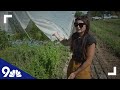 Colorado farm heavily damaged in Saturday storms