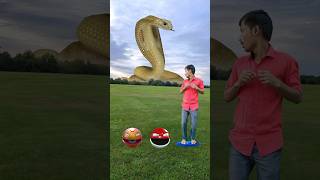 Pacman vs Snake, dinosour, tiger & gorilla dance - magic video