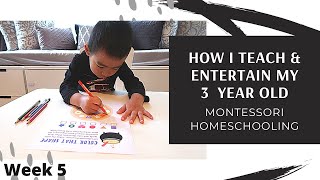 *New* HOW I TEACH & ENTERTAIN MY 3 YEAR OLD| PRE-K MONTESSOR I HOMESCHOOLING (WEEK 5) | ANGIE LOWIS