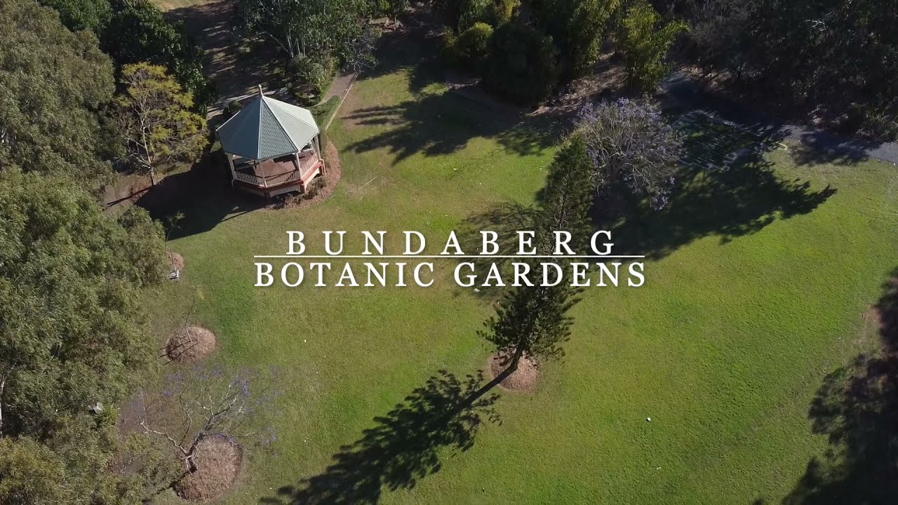 Bundaberg Botanic Gardens Spring 2021🌸 I Aerial View & Walk Around ...