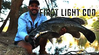 First Light Murray Cod on Surface Lures