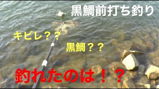 石積みの黒鯛前打ち釣りで、目標達成ならずでした