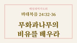 용인신정교회 새벽예배말씀 2024.8.27 [마태복음 24:32-36] 무화과나무의 비유를 배우라, 이정행목사