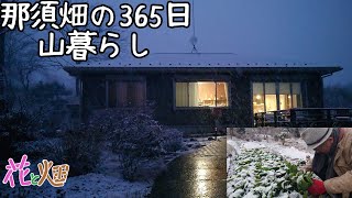 BBQ木炭で鶏水炊き👍那須畑😃弱火でトロトロ煮込む01/29 2025 1