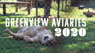 Crazy Klassen's go to Greenview Aviaries