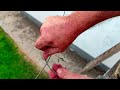 the foolproof technique for joining fencing wires figure 8 knot