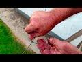 the foolproof technique for joining fencing wires figure 8 knot