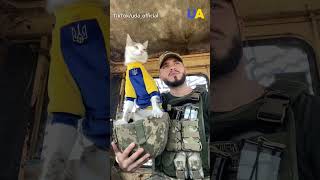 Furry brothers-in-arms help Ukrainian soldiers cope with stress 💪 🇺🇦